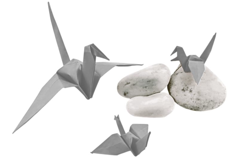 [Training Program Support]