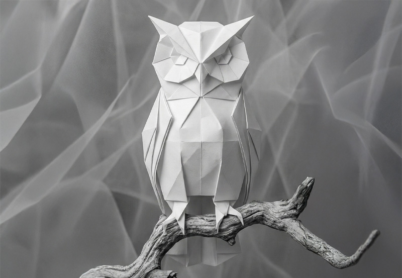 [Program Development]